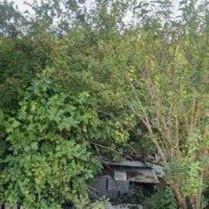 obrazek: avatar MRAMOROVÝ EFEKT s.r.o.