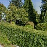 KADEŘNICTVÍ U MARCELY