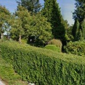 obrazek: avatar KADEŘNICTVÍ U MARCELY