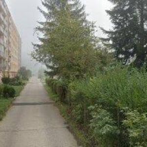 obrazek: avatar MICHAL PETR-I-HOSTING.CZ