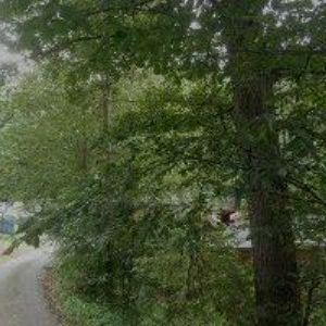 obrazek: avatar PEKAŘ TRUHLÁŘSTVÍ