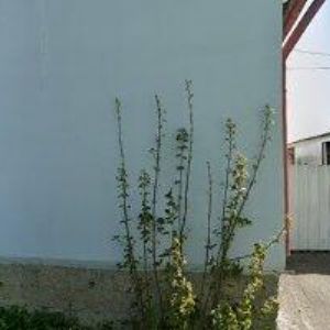 obrazek: avatar BALACOEU s.r.o.