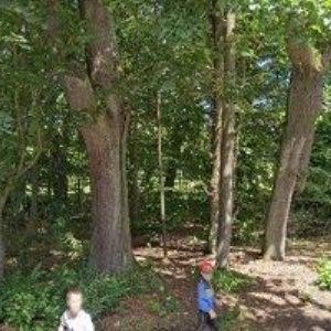 obrazek: avatar NÁBYTEK KOSAŘOVI, s.r.o.