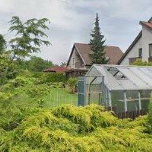 obrazek: avatar RUMONT