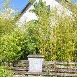 LIPENSKÝ MILAN RNDr.