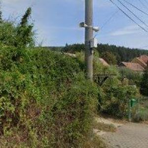 obrazek: avatar ZEMÁNIKOVÁ MONIKA