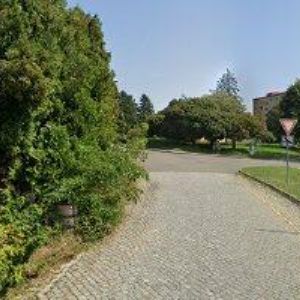 obrazek: avatar HORÁK ROBERT