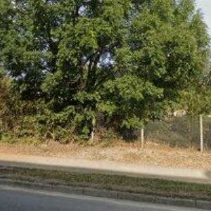 obrazek: avatar KOSMETICKÝ SALON MONIKA