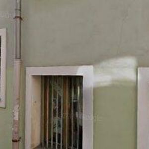 obrazek: avatar MERYOVÁ ROMANA