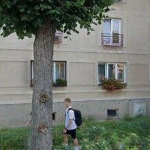 obrazek: avatar LOS-LIBERECKÁ OBČANSKÁ SPOLEČNOST, z. s.