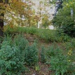 obrazek: avatar PIKOUS FOTOATELIÉR