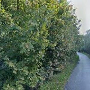 obrazek: avatar HALAMA MARTIN Mgr.