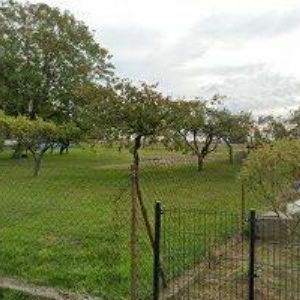 obrazek: avatar DC DESIGNS