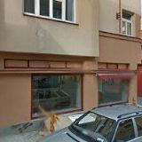 BRTNÍKOVÁ FOLTÝNOVÁ LENKA