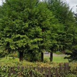 obrazek: avatar EASY TOUCH s.r.o.