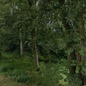 obrazek: avatar TOMEŠ JIŘÍ-PRO EXTREM