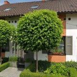 KOSMETICKÝ SALON KOPŘIVOVÉ IVETY