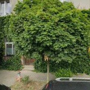 obrazek: avatar OK KERAMIKA