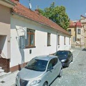 obrazek: avatar ROCHOVÁ TEREZA