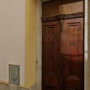 obrazek: avatar KVĚTINOVÉ STUDIO STRELITZIE