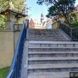 obrazek: avatar INSPIRACE KVĚTIN