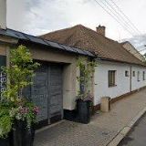 KVĚTINÁŘSTVÍ MIMOSA