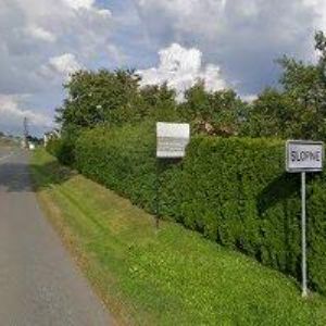 obrazek: avatar PEONIA-DESIGN