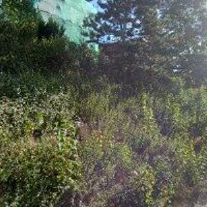 obrazek: avatar JANKOVIČ JULIUS