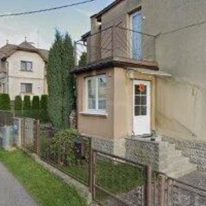 obrazek: avatar BOUMOVÁ ANDREA