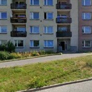 obrazek: avatar ŠKOLKA A JESLE SLŮŇÁTKO