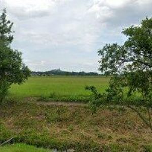 obrazek: avatar PATŘIČNÝ IVAN