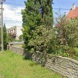 HLADÍKOVÁ RŮŽENA