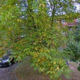 HOLUB JAROSLAV-ELEKTROMONTÁŽE & HODINOVÝ MANŽEL