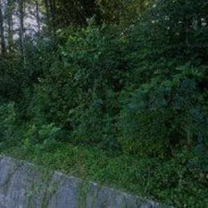 obrazek: avatar MELICH MOJMÍR-ETMO