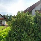 ŠŤASTNÝ PAVEL-ANTÉNY