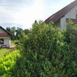 obrazek: avatar ŠŤASTNÝ PAVEL-ANTÉNY