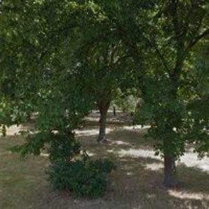 obrazek: avatar HNÍZDO JOSEF-JH ELEKTRO