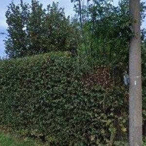 obrazek: avatar GOLDIMPEX, s.r.o.