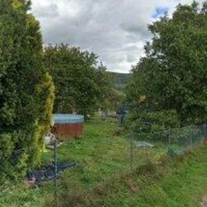 obrazek: avatar HONSEJK PETR