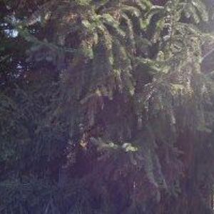 obrazek: avatar ELICONTROL s.r.o.