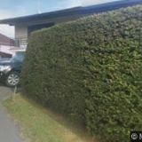 VOKŘÍNEK JAN-ANTÉNY