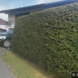 obrazek: avatar VOKŘÍNEK JAN-ANTÉNY