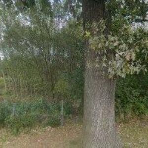 obrazek: avatar NEKOLA JAROSLAV