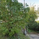 RAINBOW, spol. s r.o.