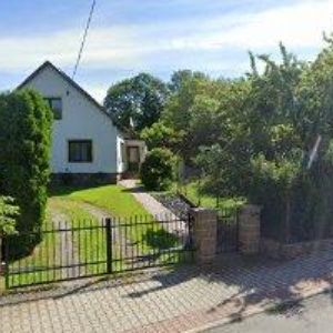 obrazek: avatar ELAX