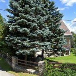 obrazek: avatar KŘEN LUKÁŠ