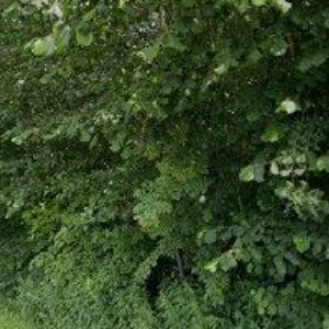 obrazek: avatar PARKER SERVIS s.r.o.