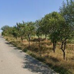 obrazek: avatar EMG ZLÍN, s.r.o.