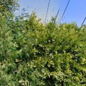 obrazek: avatar DOVIMEX s.r.o.