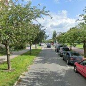 obrazek: avatar DOROTÍK ALEŠ